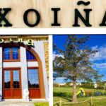Delicias gallegas en el corazón de Foz: visita nuestro restaurante
