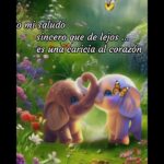 Descarga gratis imágenes de buenos días y buenas noches