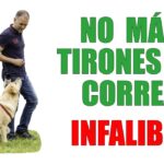 Descarga Los Secretos de la Conducta con Correa en 3 Pasos