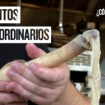 Descubre el bivalvo gigante similar a la ostra Guía completa