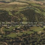 Descubre el campo de golf de Zarapicos y mejora tu juego.