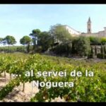 Descubre el encanto del Monestir de les Avellanes: ¡Reserva ahora!