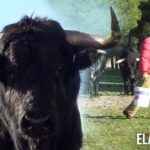 Descubre el encanto rural de Finca La Vega en Museros