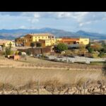 Descubre el lujo de los vinos en Can Bonastre Wine Resort