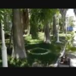 Descubre el mejor hostal en Niebla, Huelva: ¡Confort y calidad al mejor precio!