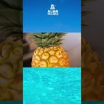 Descubre el mundo con Alma Viajera, tu agencia de viajes de confianza