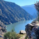 Descubre la belleza de los Cañones del Sil en nuestras cabañas