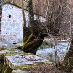 Descubre la belleza natural de A Fervenza o Corgo en Galicia.