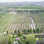 Descubre la belleza natural de Finca Cruz de Piedra: ¡un paraíso en la tierra!