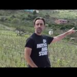 Descubre la belleza natural de Finca Huerta del Marqués