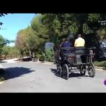 Descubre la belleza natural de Finca El Retamar en Sonseca