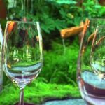Descubre la belleza natural en La Casa Verde de Torrelodones