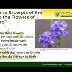 Descubre la belleza oculta de las flores de Reding en esta guía completa