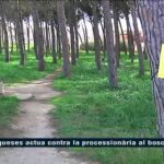 Descubre la belleza rural de Can Ribas en Les Franqueses del Vallès