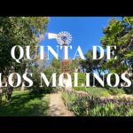 Descubre la fascinante historia de la Quinta de los Molinos