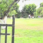 Descubre la historia y encanto de la Alquería del Pi en Valencia