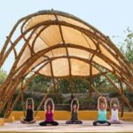 Descubre la magia de Finca al Limón EcoLodge: ¡Un paraíso en la naturaleza!