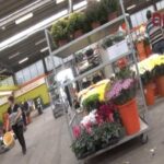 Descubre la mejor floristería en Vilassar de Dalt: ¡calidad y belleza en cada flor!