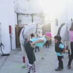 Descubre la pasión por la equitación en Centro Hípico El Molino de Fuego