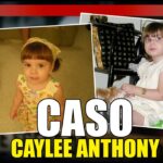 Descubre las increíbles reseñas de la Casa de los Cassy