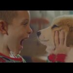 Descubre los animales más adorables que puedes regalar en Asturias