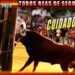 Descubre los encantos de Beas de Segura: qué ver y hacer en este pintoresco pueblo andaluz