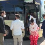 Descubre los encantos de Los Palacios y Villafranca a bordo de los autobuses en Sevilla