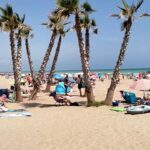 Descubre los impresionantes paisajes y rincones históricos cerca de Canet de Berenguer