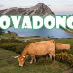 Descubre los mejores alojamientos en Cangas de Onís, Asturias ¡Relájate en plena naturaleza!
