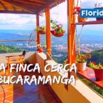 Descubre los mejores destinos con nuestra agencia de viajes en Lebrija