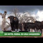 Descubre los mejores hoteles en Vilches, Jaén: ¡tu estadía perfecta está aquí!