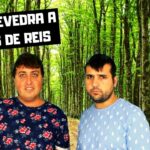 Descubre los mejores lugares para cenar en Caldas de Reis con nuestra guía completa