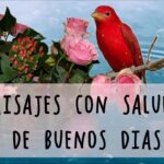 Descubre los mejores paisajes de Buenos Aires en imágenes
