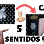 Descubre los mejores regalos para conquistar el sentido del oído