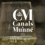 Descubre los secretos del cava en la visita a las bodegas de Sant Sadurní d'Anoia