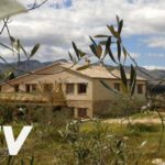 Descubre más sobre la belleza natural de Mas del Pi Perelló