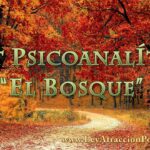 Descubre tu verdadero camino en el bosque con este test