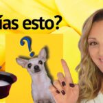 Diferenciando el tinte del baño de color: ¿Cuál es la mejor opción para tu cabello?