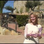 Disfruta de la tranquilidad y el encanto de Alava en el Hotel Eguren Ugarte