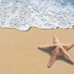 Disfruta de una Nochevieja inolvidable en el encantador Hotel Ametlla de Mar