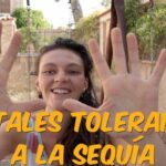 Disfruta del sol y refrescate en el agua de Granada