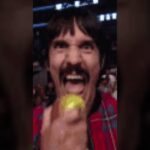 El costo de los Red Hot Chili Peppers por concierto: ¿cuánto están cobrando actualmente?