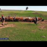 El día a día de un peón de campo: una mirada honesta y profunda