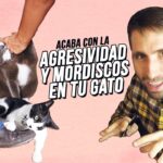 El humor milenario peculiaridades y claves para entenderlo