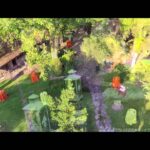 El Jardín de Botero: un oasis de arte y naturaleza en el corazón de Medellín