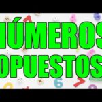 El número entero que es su propio opuesto