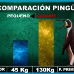 El pingüino emperador, el gigante de su especie descubre más aquí