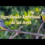 El significado espiritual de la visita de un pájaro descúbrelo aquí