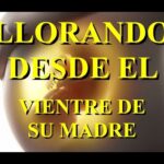 El significado espiritual detrás del llanto fetal descúbrelo ahora