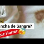 Elimina manchas de sangre de forma efectiva con Fairy, ¡descubre cómo!
